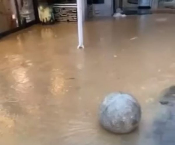 Vërshime në Pejë, rrezikohen disa lokale