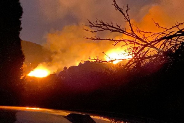 Rreth 700 të evakuuar pas zjarrit në Elba të Italisë