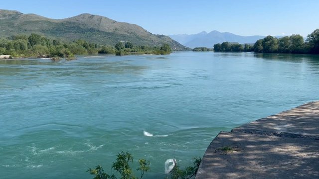 Tragjedia në Bunë, flasin policët: Gruaja ishte në gjendje të rëndë psikologjike