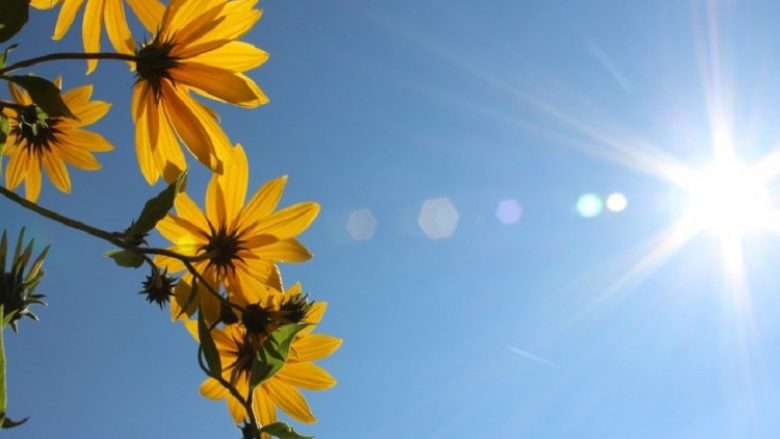 Temperaturat deri në 40 gradë Celsius në Shqipëri