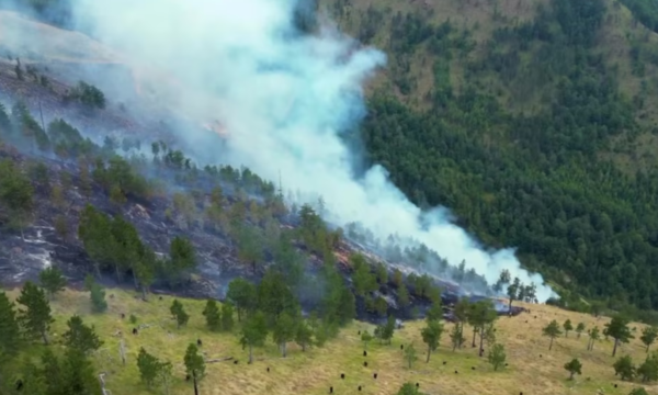Shqipëri: Temperaturat e larta po shoqërohen me zjarre të shumta