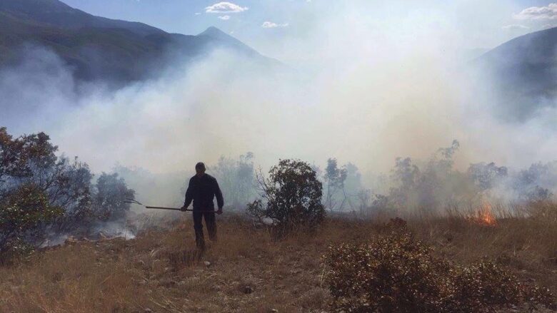 Dogjën sipërfaqe toke me bimësi të ndryshme dhe ullinj, procedohen penalisht 2 shtetas në Vlorë