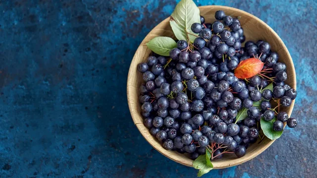 Nga Holanda në fushat e Maliqit, kultivohet për herë të parë në Shqipëri fruti kurativ “Aronia”