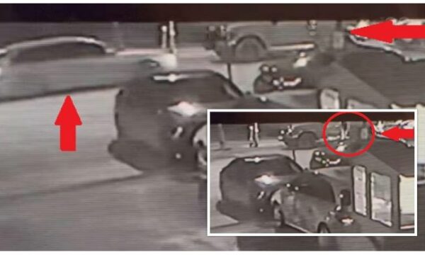 Nga lokali në G Class, momenti kur ekzekutohet djali i ish-gjyqtarit në Shqipëri nga atentatorët me Audi