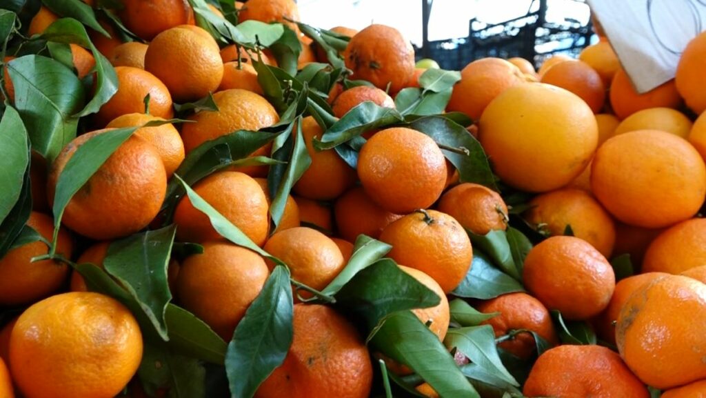 Asgjësohen mandarinat shqiptare me pesticide – Kroacia i ktheu pas, Kosova po iu kryen testet laboratorike