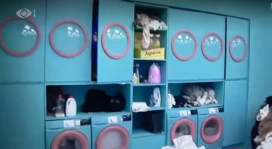 Momenti kur ky banor e sheh Gjestin të fshehur në lavanderi