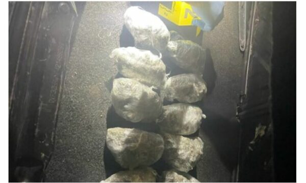 Kapet 1 kg marihuanë në një automjet në Vushtrri, arrestohet i dyshuari