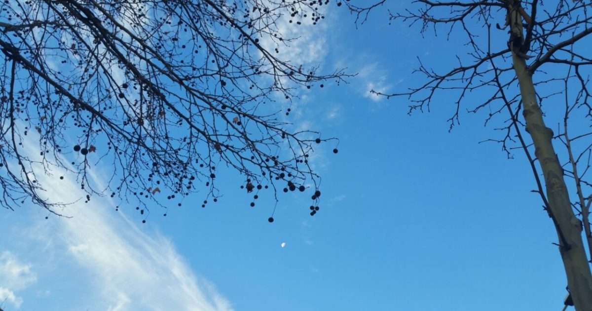 Parashikimi i motit për sot, temperatura deri në 26 gradë Celsius