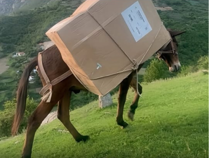 Mushka bart kutitë e votimit në Shqipëri