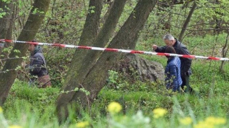 Zbulohen tri raste të kontrabandës me dru, policia ndalon të dyshuarit