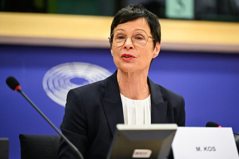 Kos: Rrugëtimi i Kosovës drejt BE-së varet nga dialogu me Serbinë, jo nga veprimet e njëanshme
